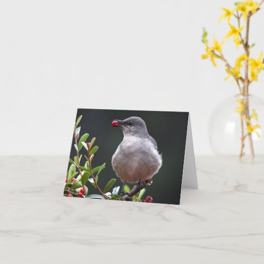 Moqueur du nord - Joe Sweeney - carte (Fleur jaune)