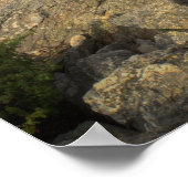 Moraine Lake Poster (Hoek)