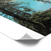Moraine Lake Poster (Hoek)