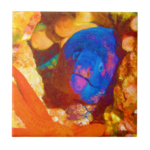 Moray Eel Tegeltje