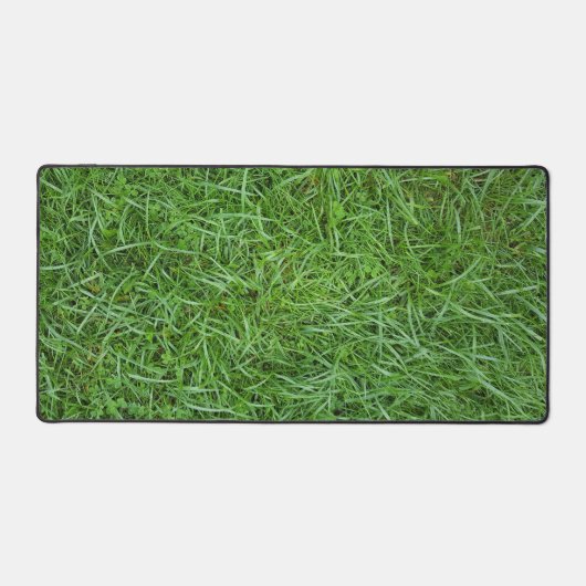 Morceau vert (Recto)