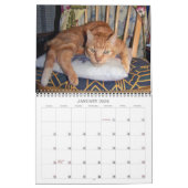 Mordi, Basil & Amis Calendrier Chat 2024 (Jan 2026)