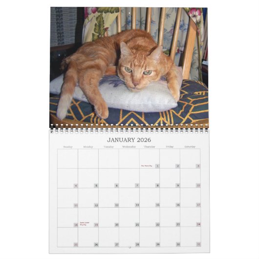 Mordi, Basil & Amis Calendrier Chat 2024 (Jan 2026)