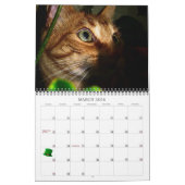 Mordi, Basil & Amis Calendrier Chat 2024 (Mar 2026)