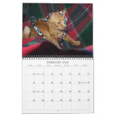 Mordi, Basilicum & Vrienden Cat Kalender 2024 (Feb 2026)
