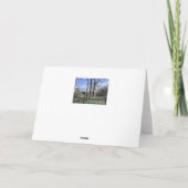 Morecambe Bay Uitzicht Kaart (Achterkant)