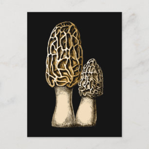Morel Mushroom  Botanische illustratie Briefkaart