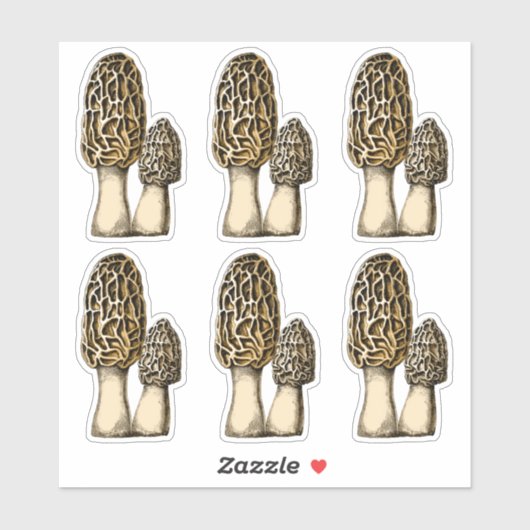 Morel Mushroom  Botanische illustratie Sticker (Vel)