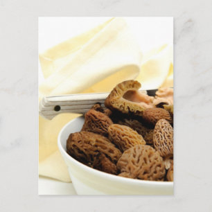 Morel Mushroom Briefkaart