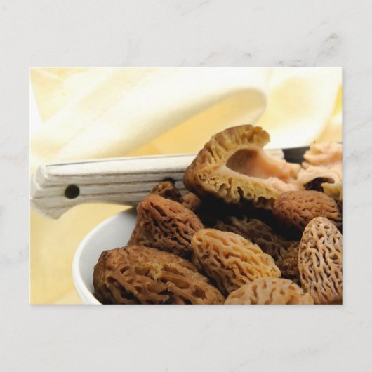 Morel Mushroom Briefkaart (Voorkant)