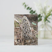 Morel Mushroom briefkaart (Staand voorkant)