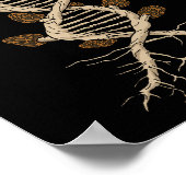 Morel Mushroom Hunter Gift Fungi Mushroom Poster (Hoek)