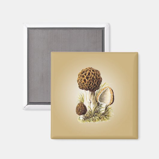 Morel Mushroom Magnet Magneet (Voorkant / Achterkant)