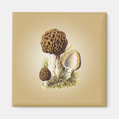 Morel Mushroom Magnet Magneet (Voorkant)