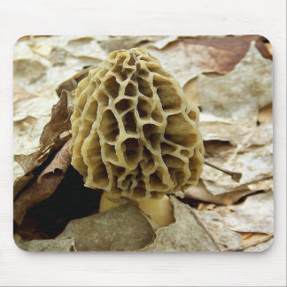 Morel Mushroom Muismat