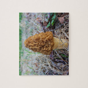 MOREL MUSHROOM Puzzle
