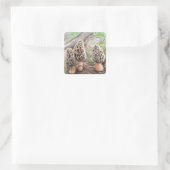 Morel Mushroom Stickers (Tas)