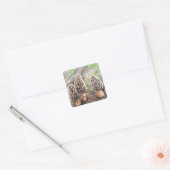 Morel Mushroom Stickers (Envelop)