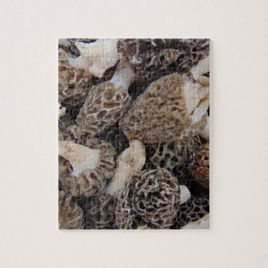 Morel Mushrooms Legpuzzel (Verticaal)