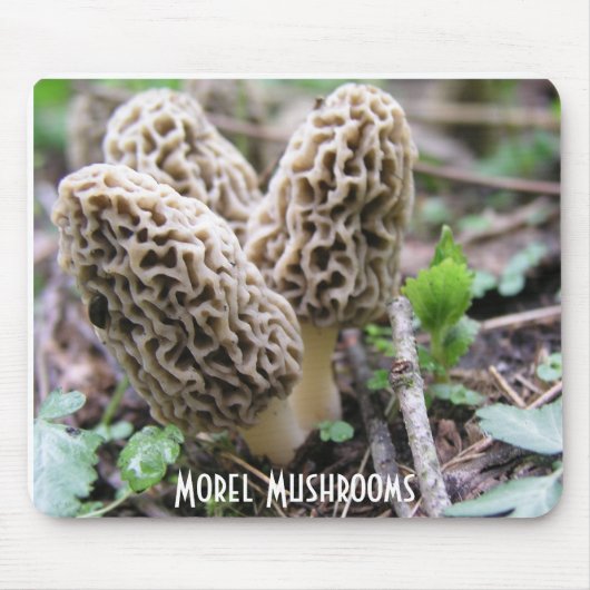 Morel Mushrooms Mousepad Muismat (Voorkant)