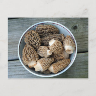 Morel Mushrooms Verjaardag Briefkaart