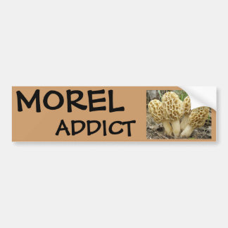 Morel paddenstoelen bumpersticker