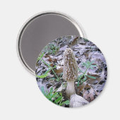 Morel paddenstoelmagneet magneet (Voorkant / Achterkant)