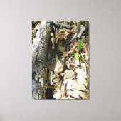 Morel Patch op canvas Afdruk (Voorkant)