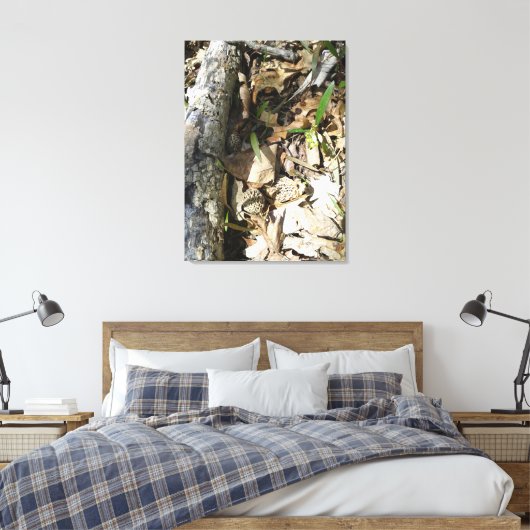 Morel Patch sur toile (Insitu(Chambre))