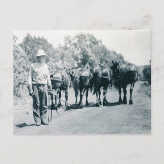 Morenwerk Briefkaart (Voorkant)