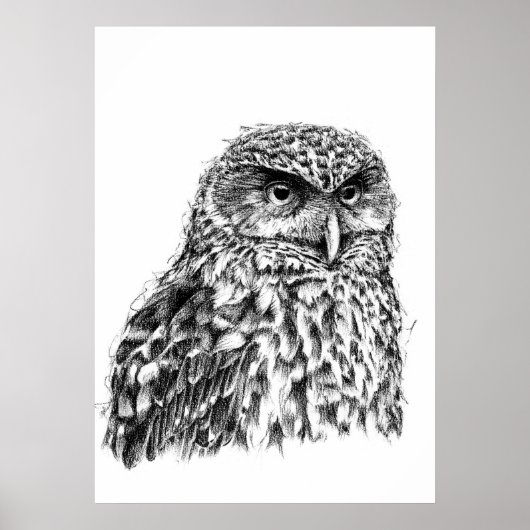 morepork poster (Voorkant)