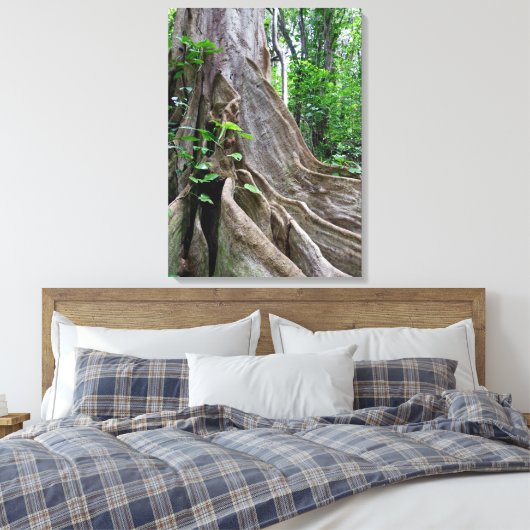Moreton Bay Fig Tree Roots Canvas Afdruk (Insitu (Slaapkamer))