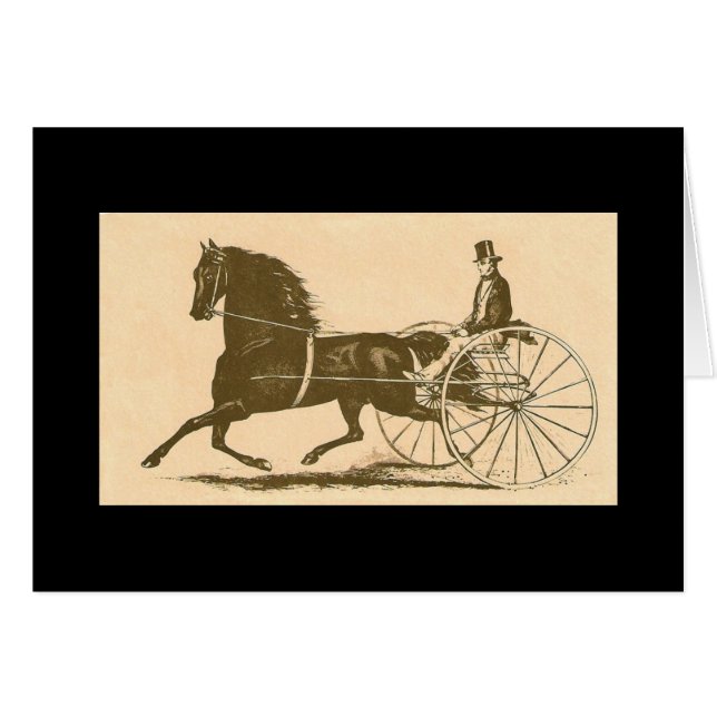 Morgan americana (Devant Horizontal)