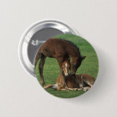 Morgan Foals Play Ronde Button 5,7 Cm (Voorkant /achterkant)