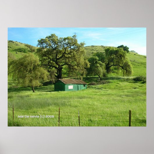Morgan Hill Meadow Poster (Voorkant)