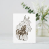 Morgan Horse Art Briefkaart (Staand voorkant)