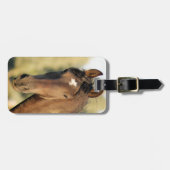 Morgan Horse Bagagelabel (Voorkant horizontaal)