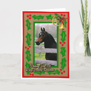 Morgan Horse Blank Christmas Kaart