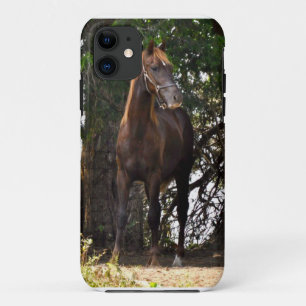 Morgan Horse iPhone 11 Hoesje