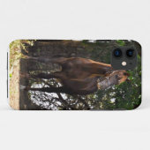 Morgan Horse Case-Mate iPhone Case (Achterkant (horizontaal))