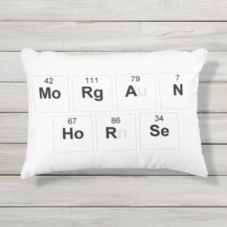 Morgan Horse pillow Buitenkussen