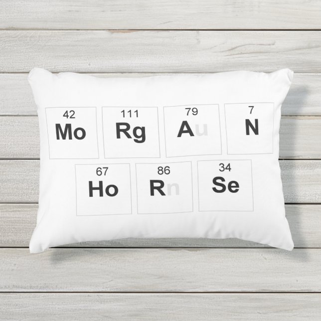 Morgan Horse pillow Buitenkussen (Voorkant)