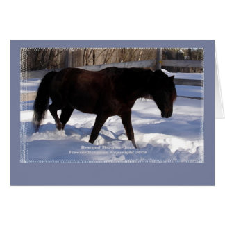 Morgan Horse Winter Wonderland Blond