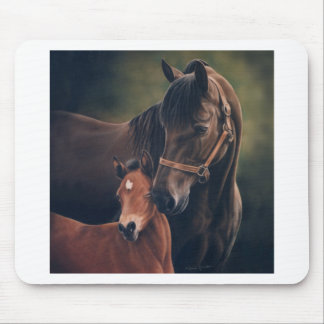 Morgan Mare en Foal Muismat