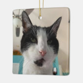 Morgan's Ornament (Links)