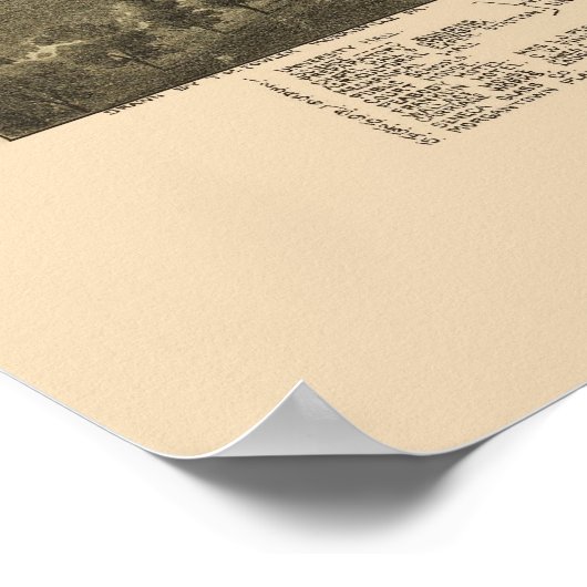 Morgantown, WV Panoramic Map - 1897 Poster (Hoek)