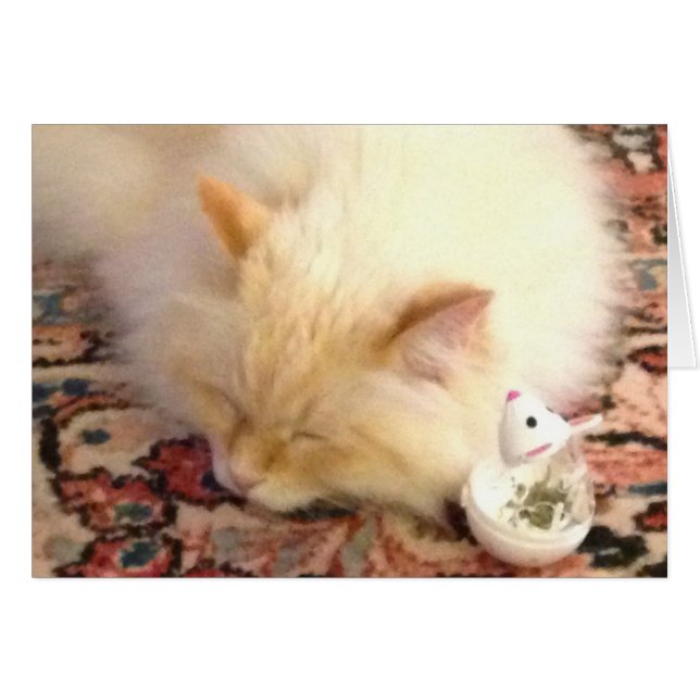 Morgen halen we de rode stip. (Voorkant Horizontaal)