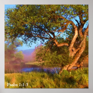 MORGEN MIST OP DE SHASTA 2 POSTER