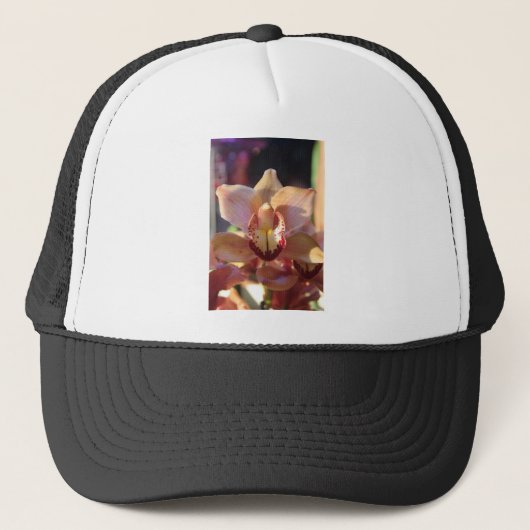 morgenorchidee trucker pet (Voorkant)