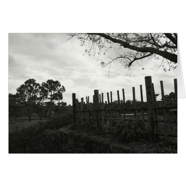 Morikami en noir et blanc (Devant horizontal)